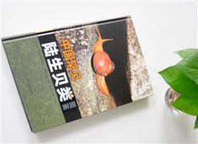 陸生貝類(lèi) 精裝畫(huà)冊(cè)印刷出版 陸生貝類(lèi) 精裝畫(huà)冊(cè)印刷出版