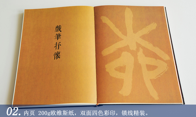 蔡東福書法作品集